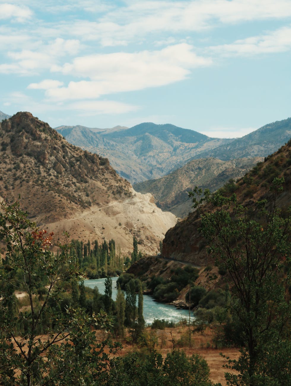 Rugged canyon with river flowing through green trees and mountains in the background.